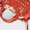 image:imageSam Edelman Marlowe Basket With Canvas Clutch Insert HandbagCayenne